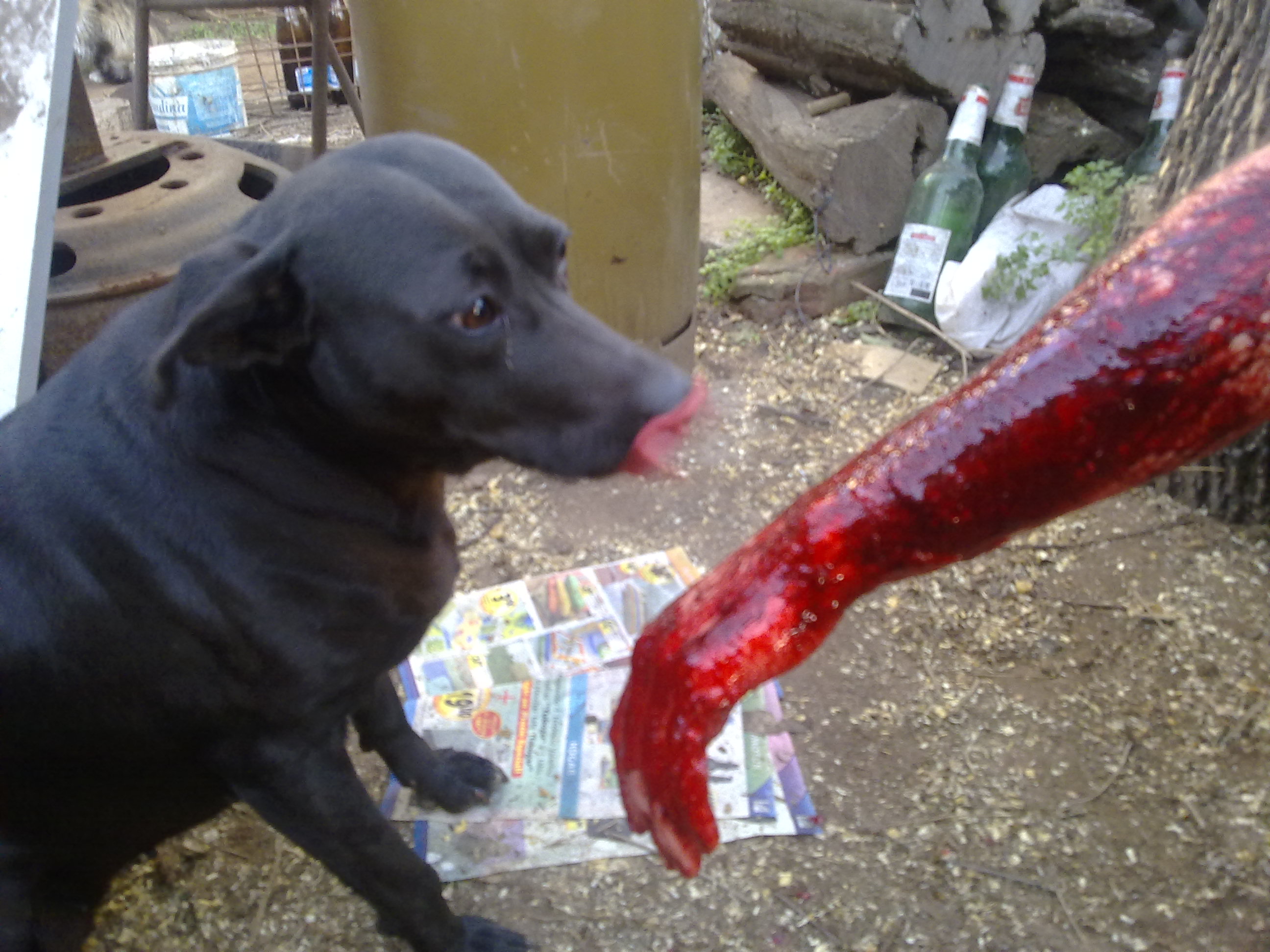 fotos/2010-07-18 - Carneada con nevada/17072010489.jpg